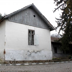 Casele monahale ale Bolniței